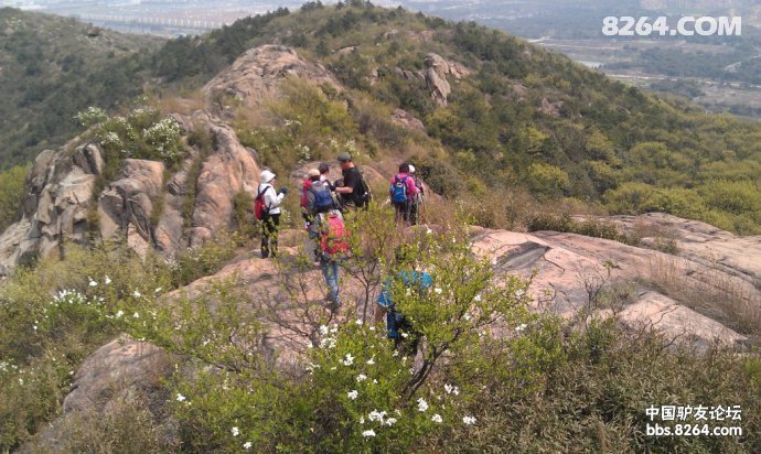 (千亦户外)---12月4日 灵岩山-灵树穿越-休闲一