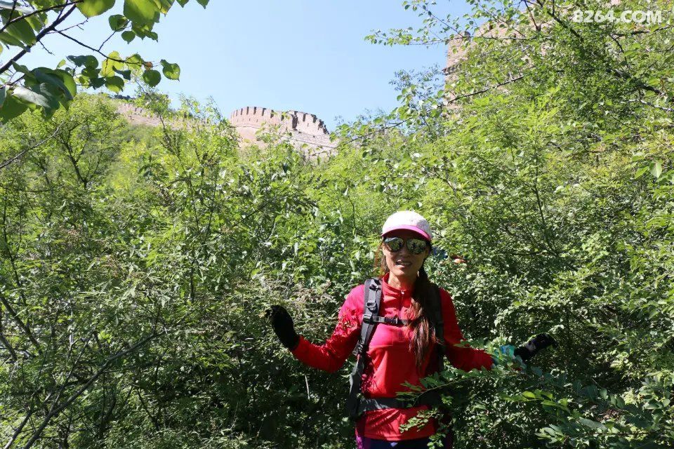 Lapland Adventure 夏季T恤 -- 新品众评, 8个体