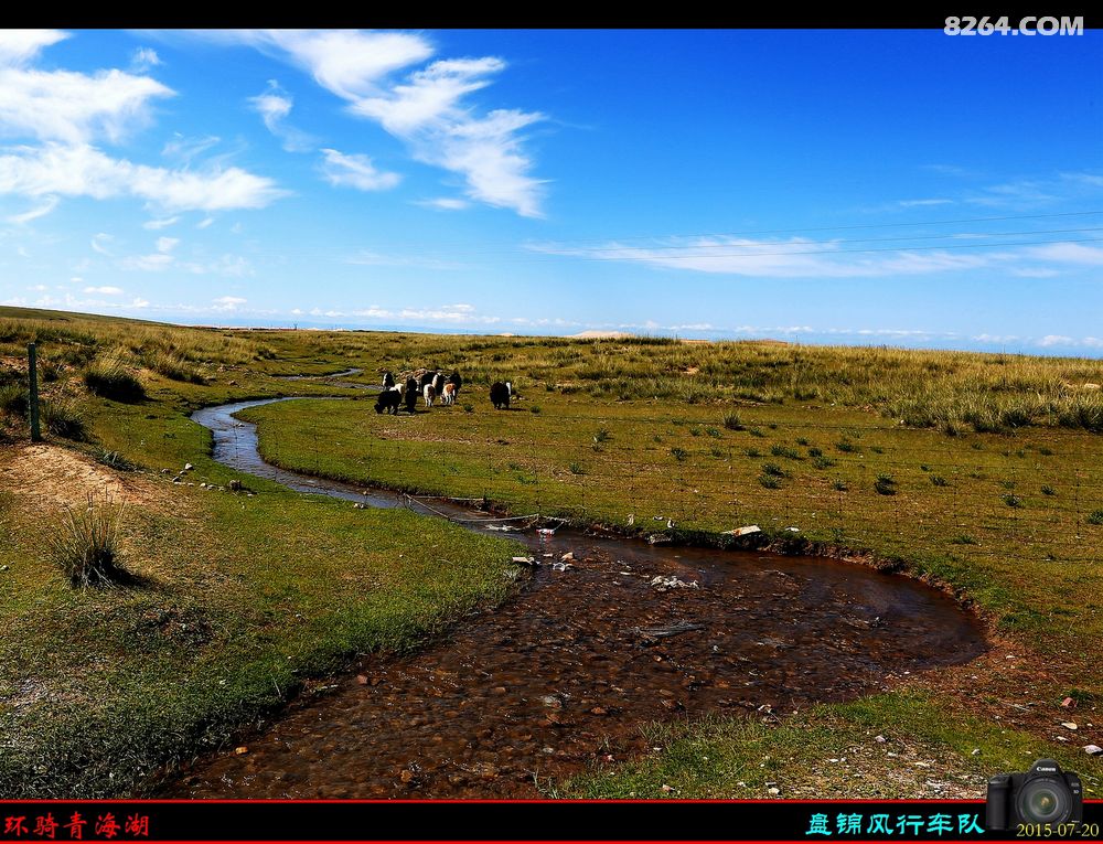 环湖日记:刚查返回西海镇,我们在青海湖画了一