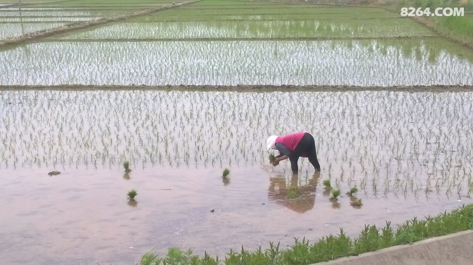 15年夏 经苏鲁辽吉 骑行中俄朝三国交界边境 联
