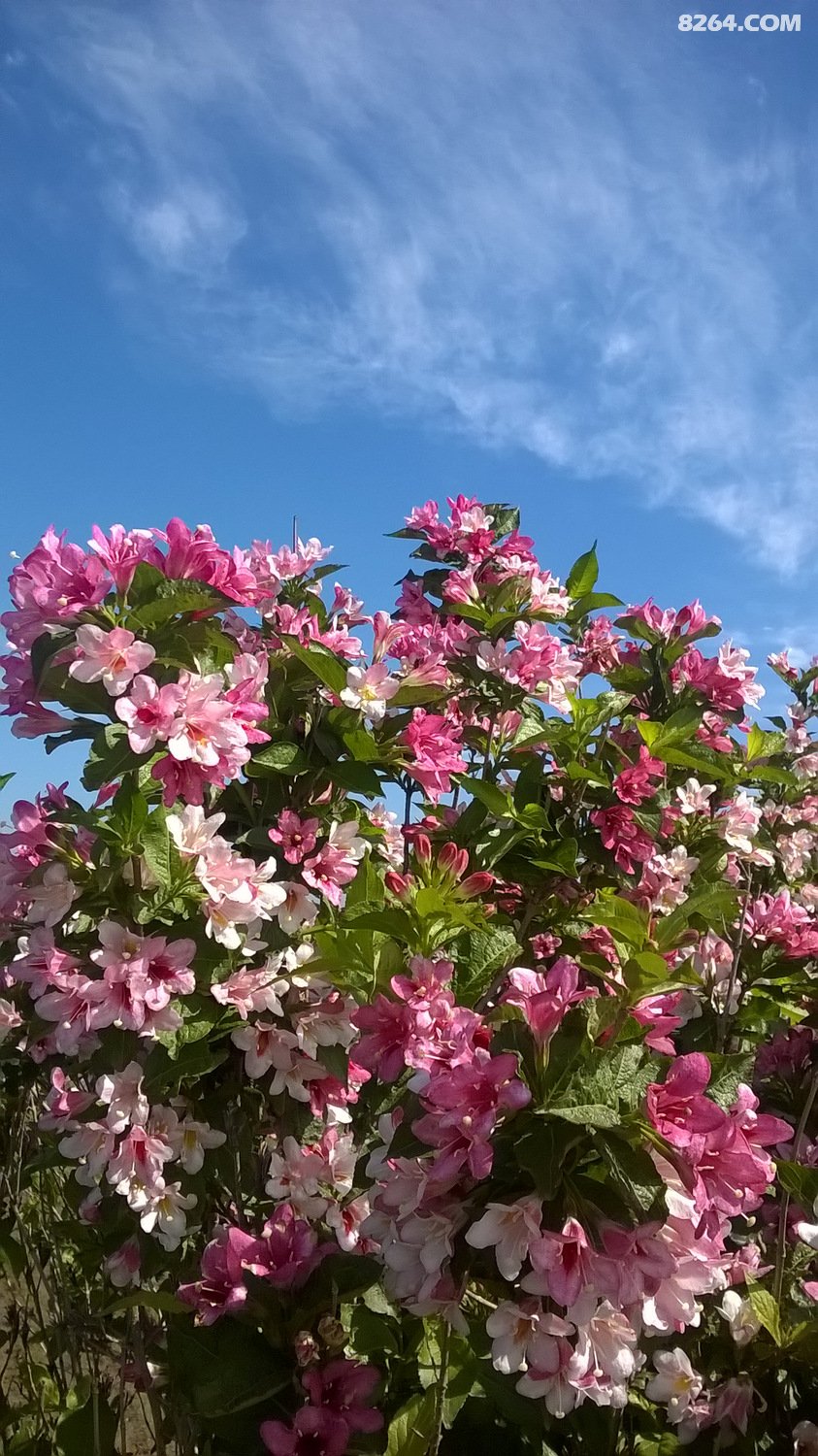 15年夏 经苏鲁辽吉 骑行中俄朝三国交界边境 联