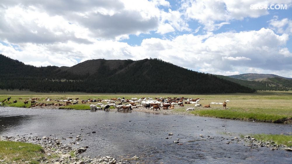 去蒙古国做个传奇狩猎英雄 蒙古国狩猎8日行 