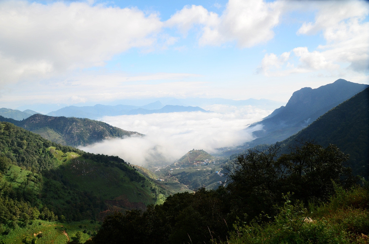 132604wn8dif76imya7ny7.jpg!t1w1500h1500