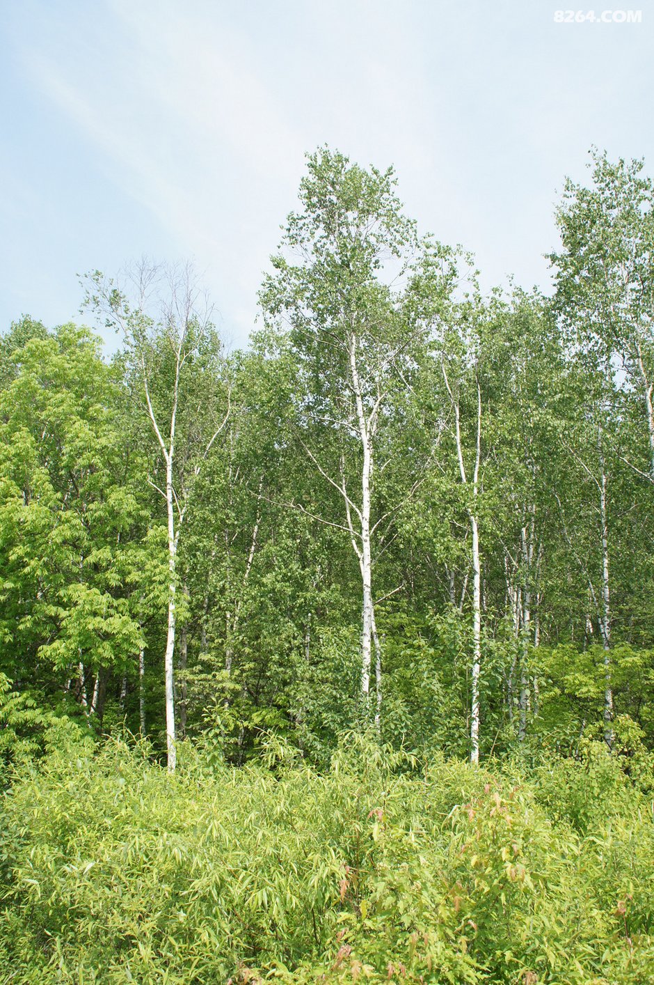 15年夏 经苏鲁辽吉 骑行中俄朝三国交界边境 联