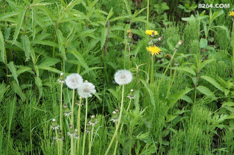15年夏 经苏鲁辽吉 骑行中俄朝三国交界边境 联