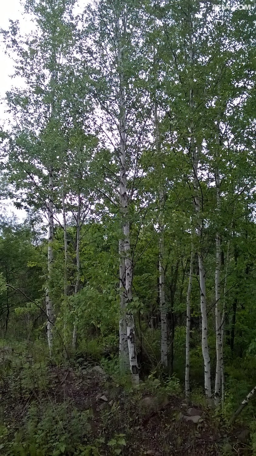 15年夏 经苏鲁辽吉 骑行中俄朝三国交界边境 联
