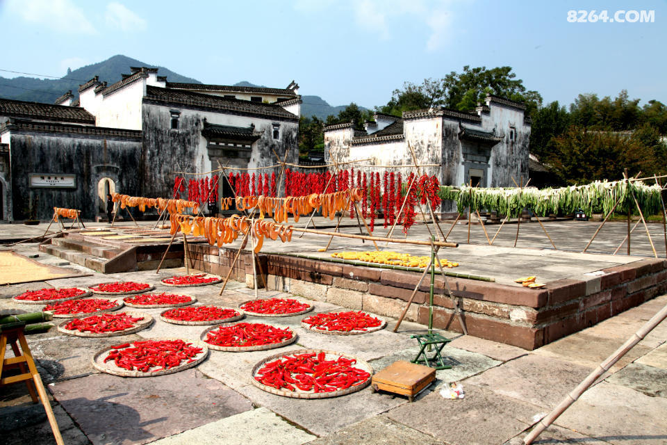 黄山徽毛驴俱乐部 10月30日-12月06日 篁岭-塔