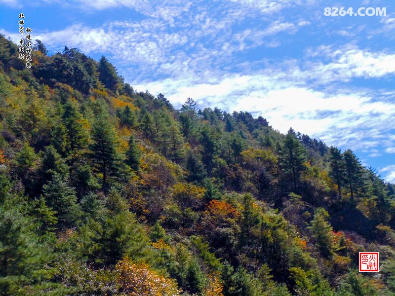 北纬30度中国行,秘境小神农架 - 重庆 - 8264手