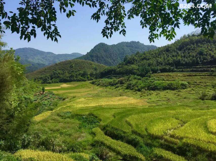 禾溪正午--周宁乡村故事 - 第1页 - 福建 - 户外资