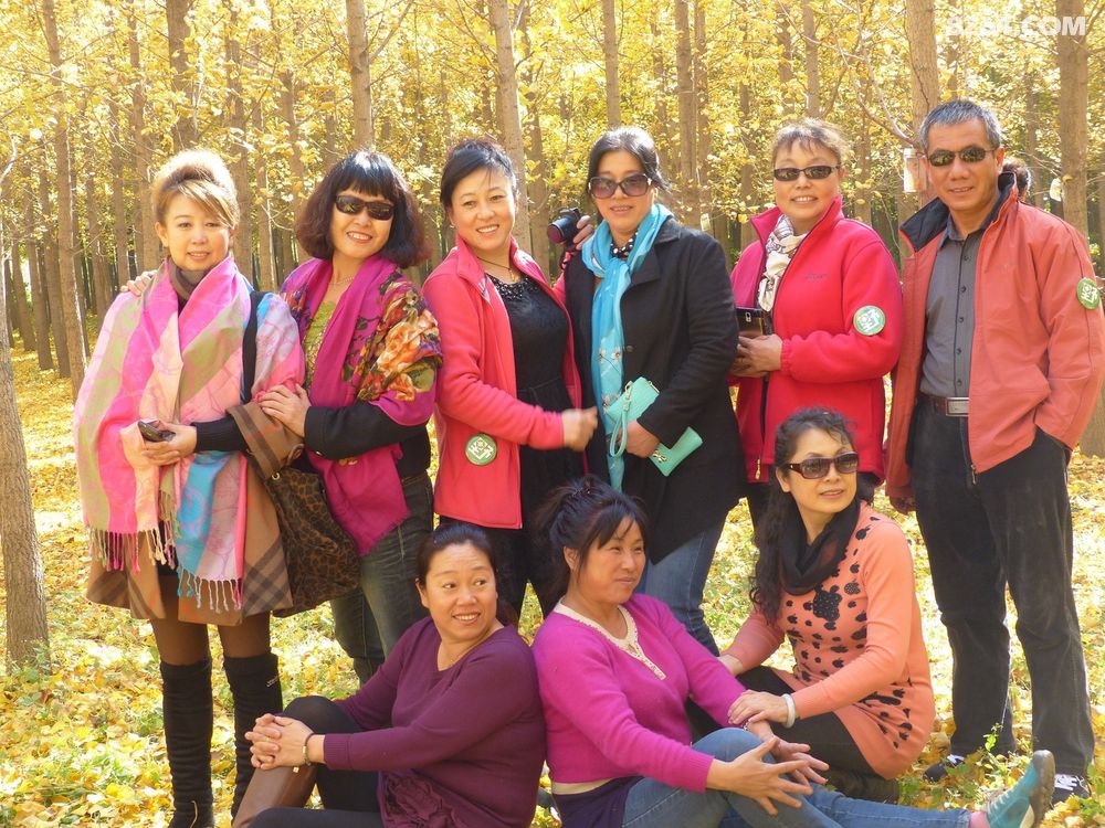 燕子户外54人丹东四景区赏银杏树 - 第1页 - 辽