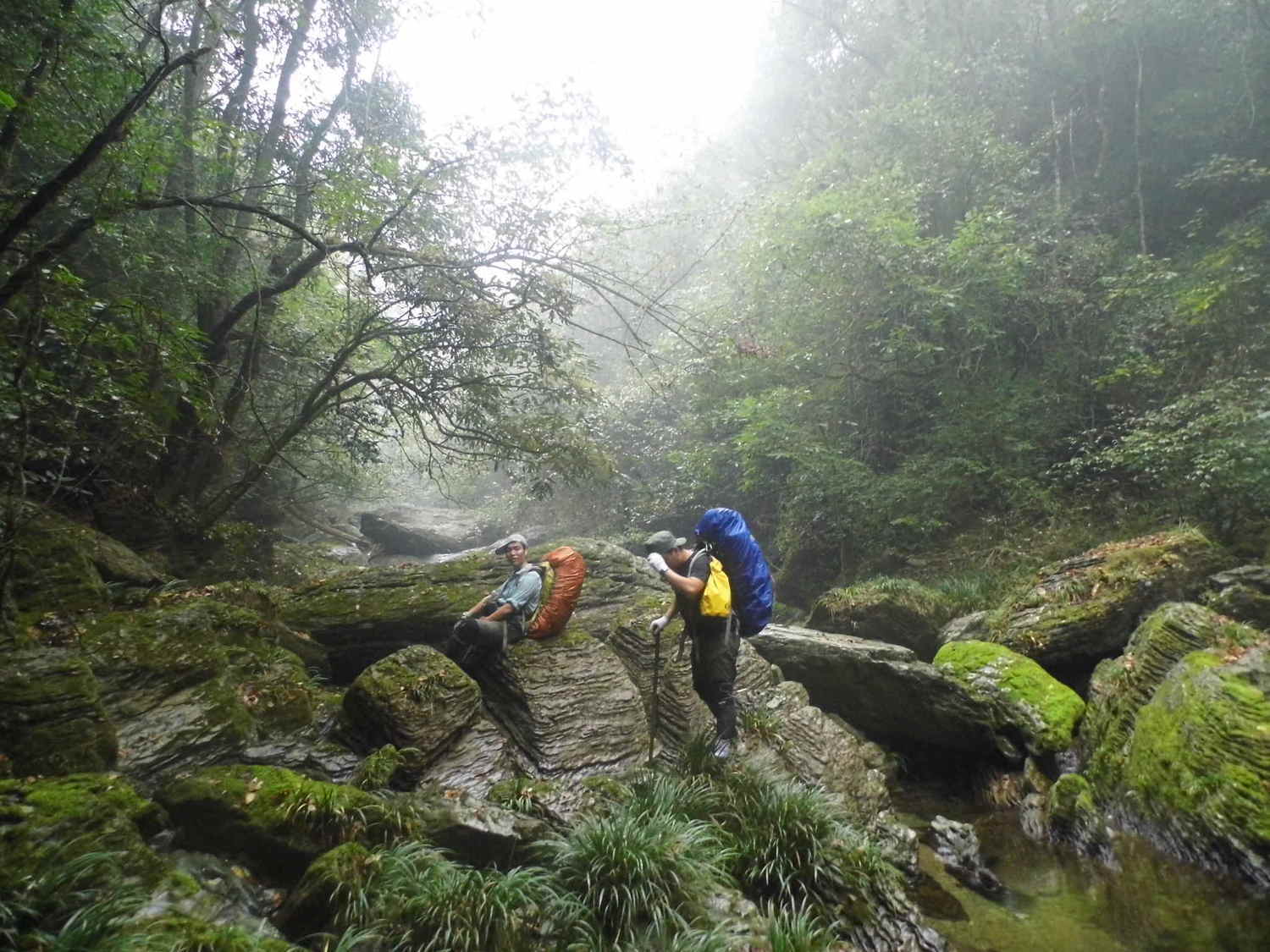 八大公山,那个难忘的4天3夜 - 吉首|桑植游记攻