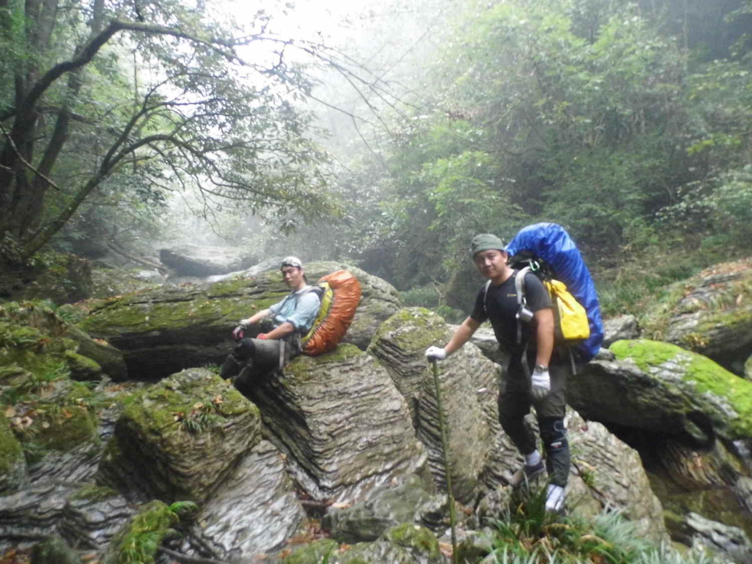 八大公山,那个难忘的4天3夜 - 吉首|桑植游记攻