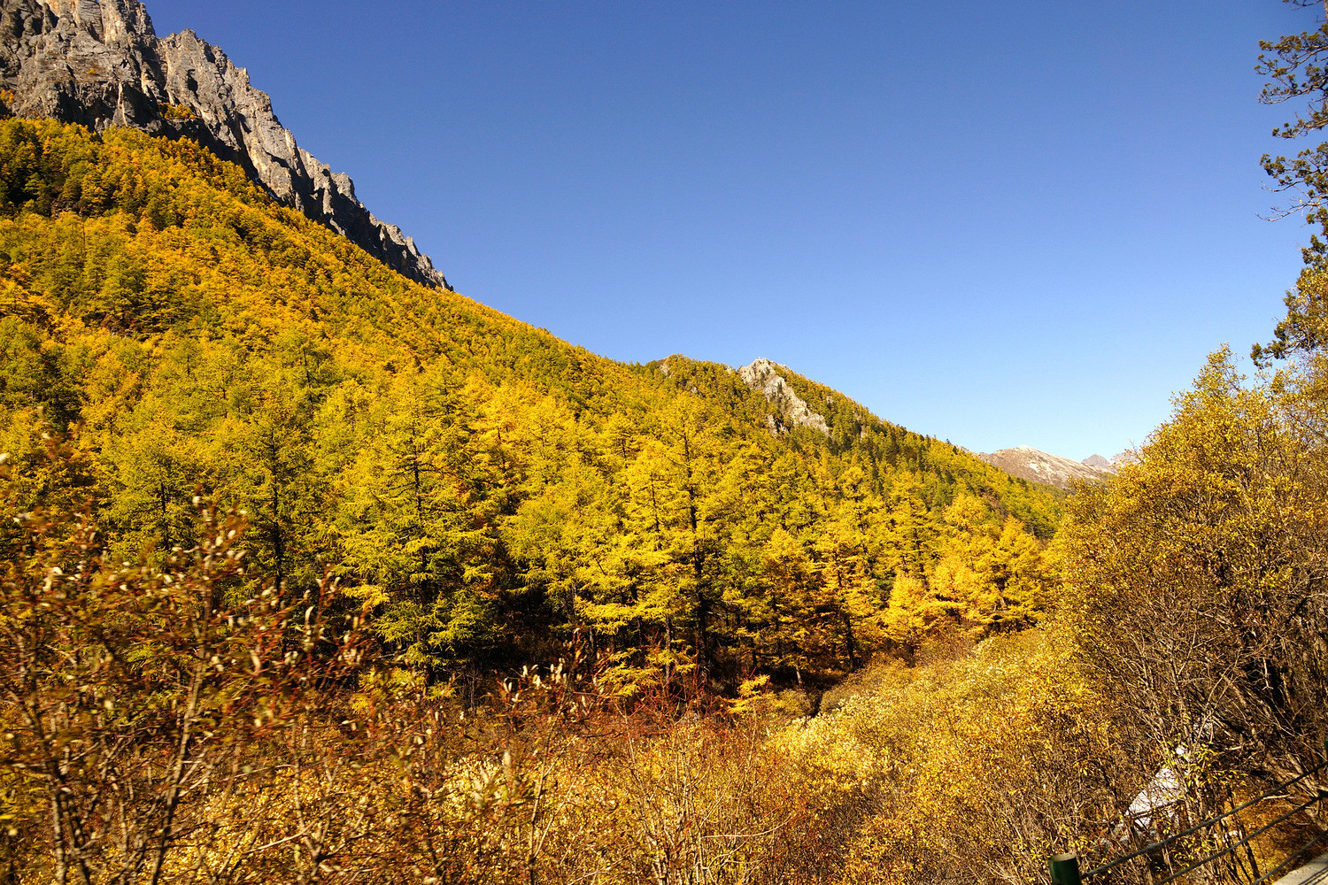 在秋日的稻城亚丁感受高原徒步的魅力 - 亚丁游