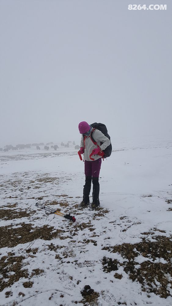青海高海拔户外 11月07日 贵德艾果拉山的奇妙