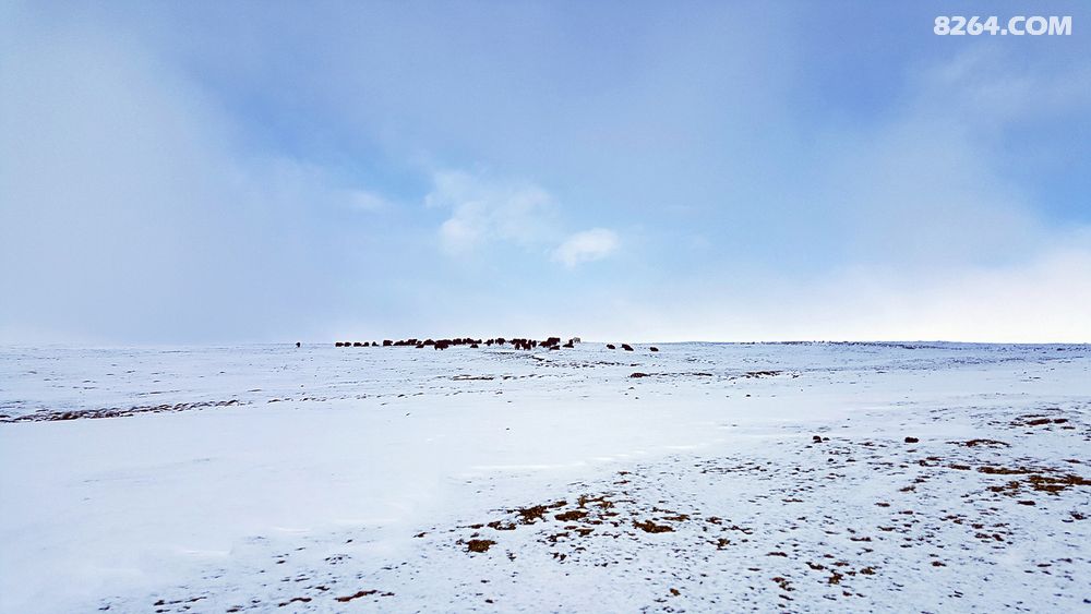 青海高海拔户外 11月07日 贵德艾果拉山的奇妙