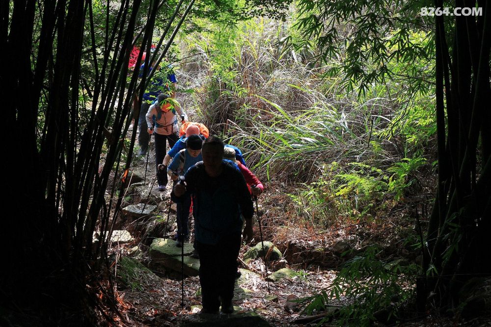 徒步合川土场镇至双凤镇(江北村)环线侧记 - 重