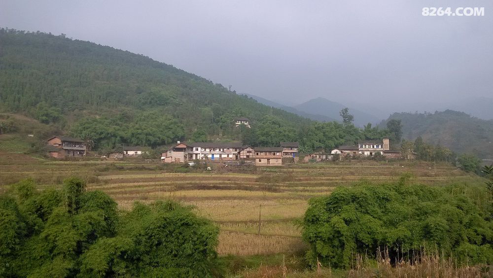 徒步合川土场镇至双凤镇(江北村)环线侧记 - 重