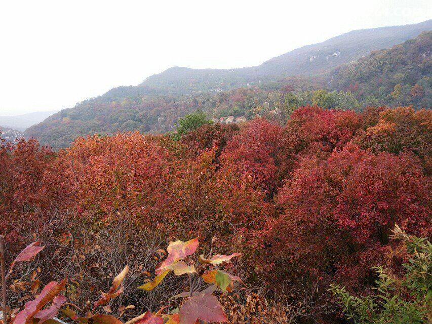 雨后畅游枫树湾 - 第1页 - 江苏 - 户外资料网手机