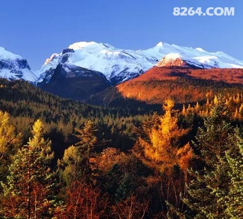 东北吉林游玩攻略,东北吉林旅游攻略