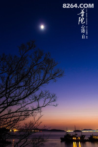 牛牛爱旅行之普陀心语(舟山普陀山旅游完全攻