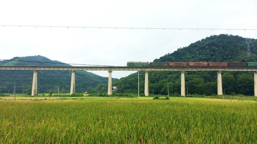 中国有名的景观大道 21153654ubfffzf15eqh5j.jpg!t3w825h0