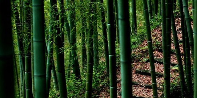 苏州灵岩山至树山徒步穿越线路攻略 - 户外资料