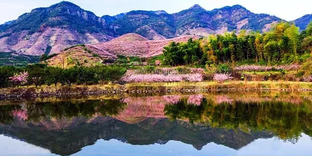 信誉最好博菜网站_金皇赌城【2017最好玩】