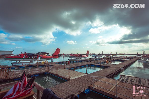 潮涨潮退日出日落,人心不变,马尔代夫莉莉