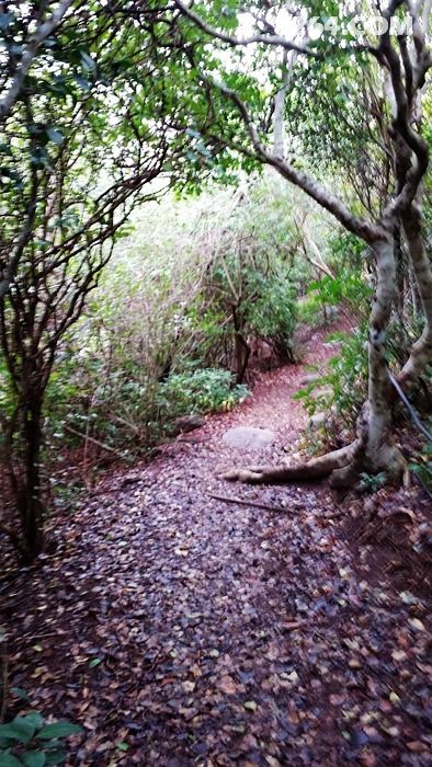 计划4月份海南出海钓鱼 无人小岛露营几天感受