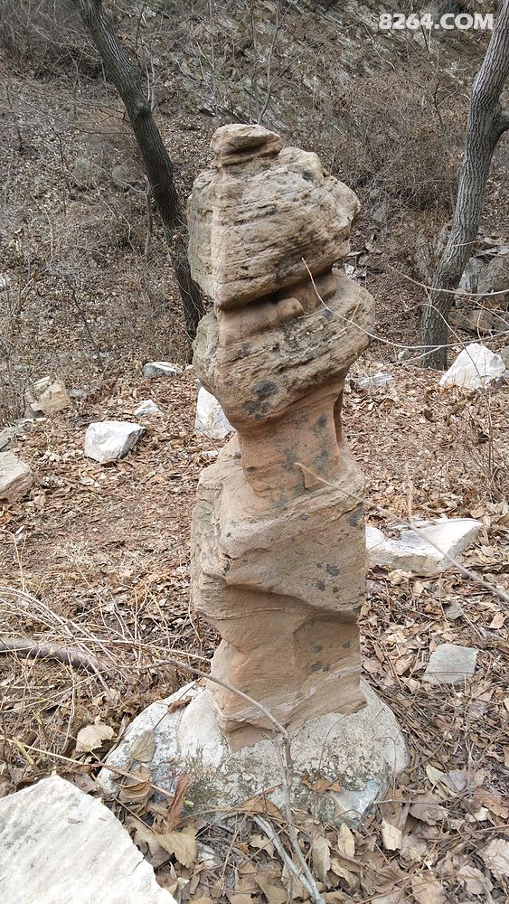 大自然,你是我的无语情人 - 第2页 - 天津 - 户外