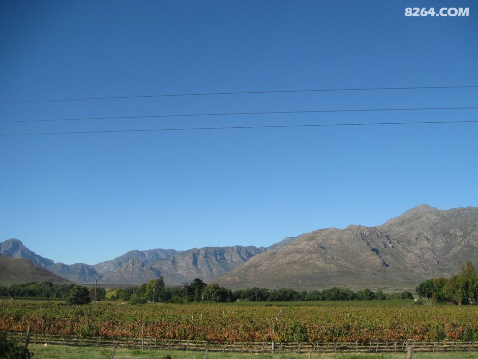 南非8日游[4月7日-14日]