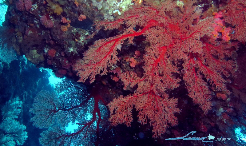 日本最西端---与那国岛、冲绳群岛之解密 - 日本