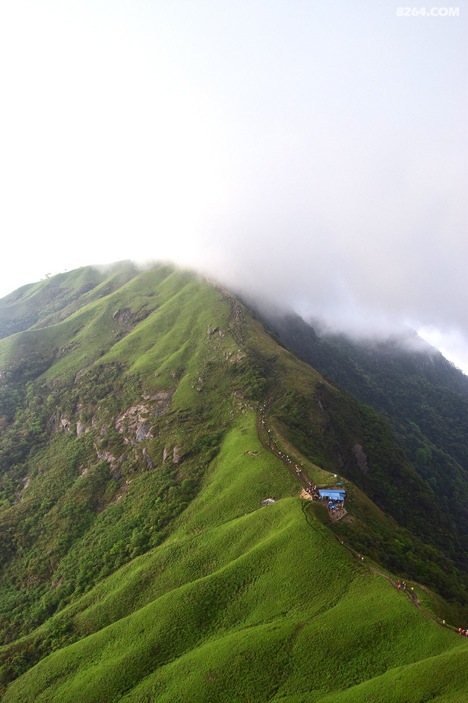 作业贴-当你不去旅行,你要青春有毛线用!五一武