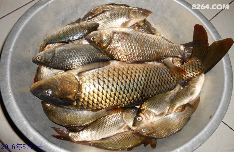 200811nz4ufub4rczunnzj.jpg!t3w825h0