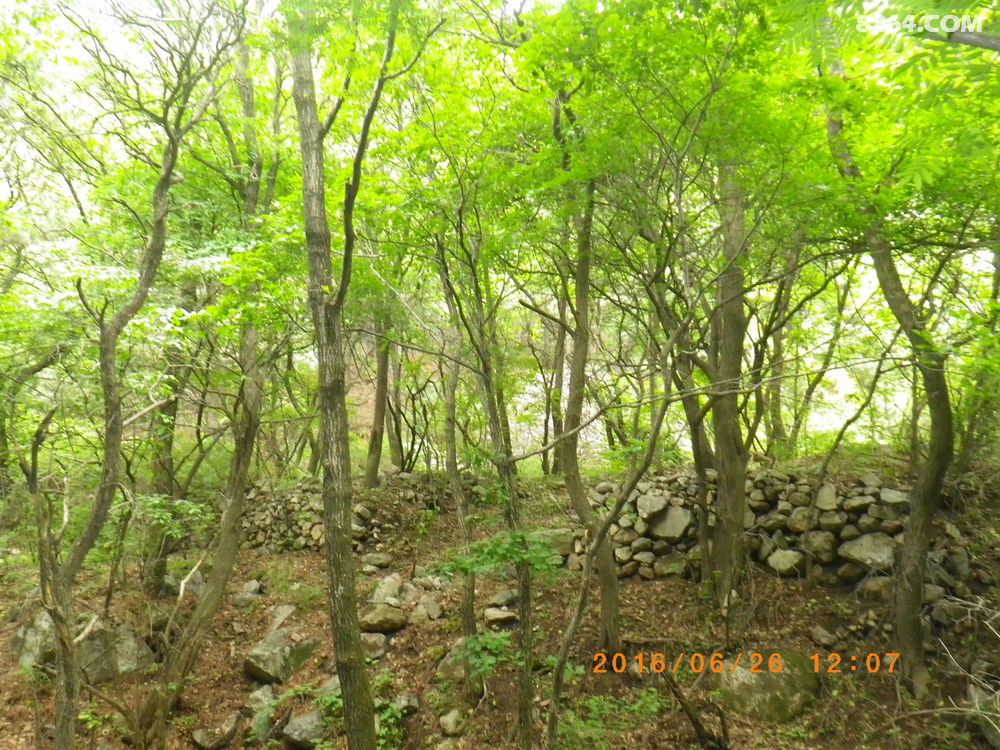 (灵石古道)灵沁古道(记6.26穿越灵沁古道) - 山西