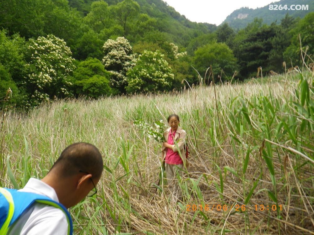 (灵石古道)灵沁古道(记6.26穿越灵沁古道) - 山西