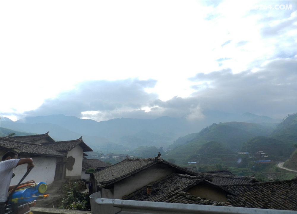 新九草原猛粮坝密林穿越 - 四川 - 8264手机触屏