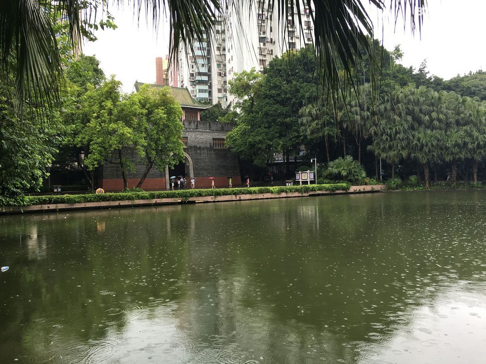 五羊而至 越秀新晖--逛广州越秀公园 - 江西 - 8