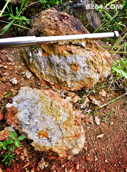 ׵---Paul Tactical ˦