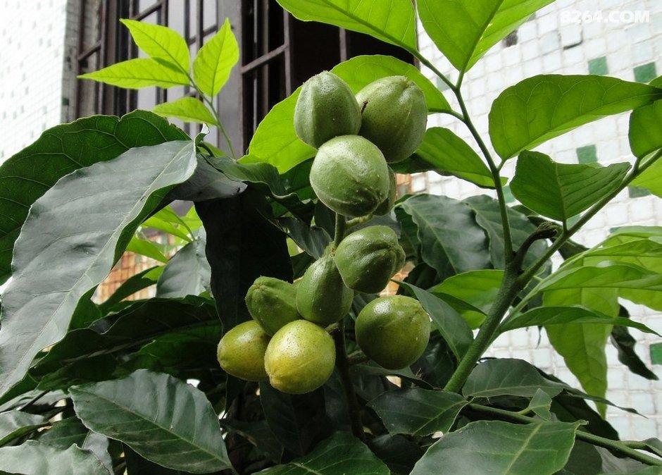 一个人的休闲露营生活(香港,澳门,珠海三地露营