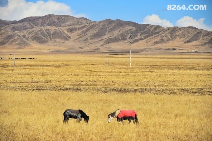 四川 甘孜州 阿坝州 在冬季带着家人自驾游 详细