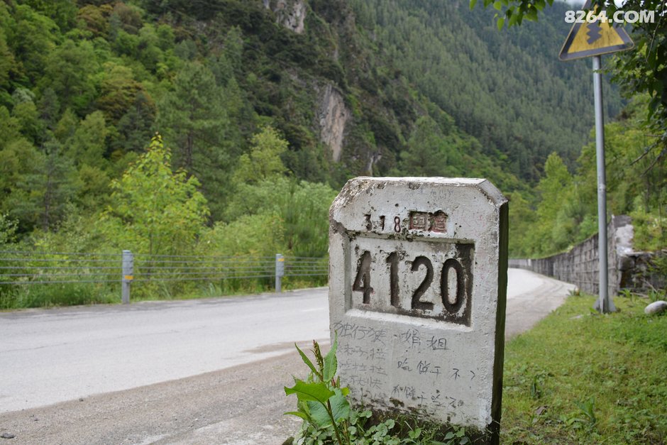 从你的全世界路过之日光圣城的追寻。