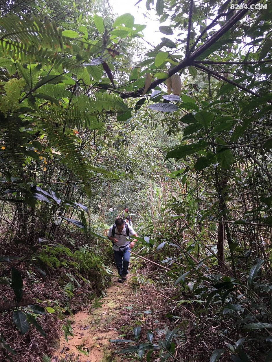 先锋在途 -- 云堡寨-仙山村-马岚山穿越记