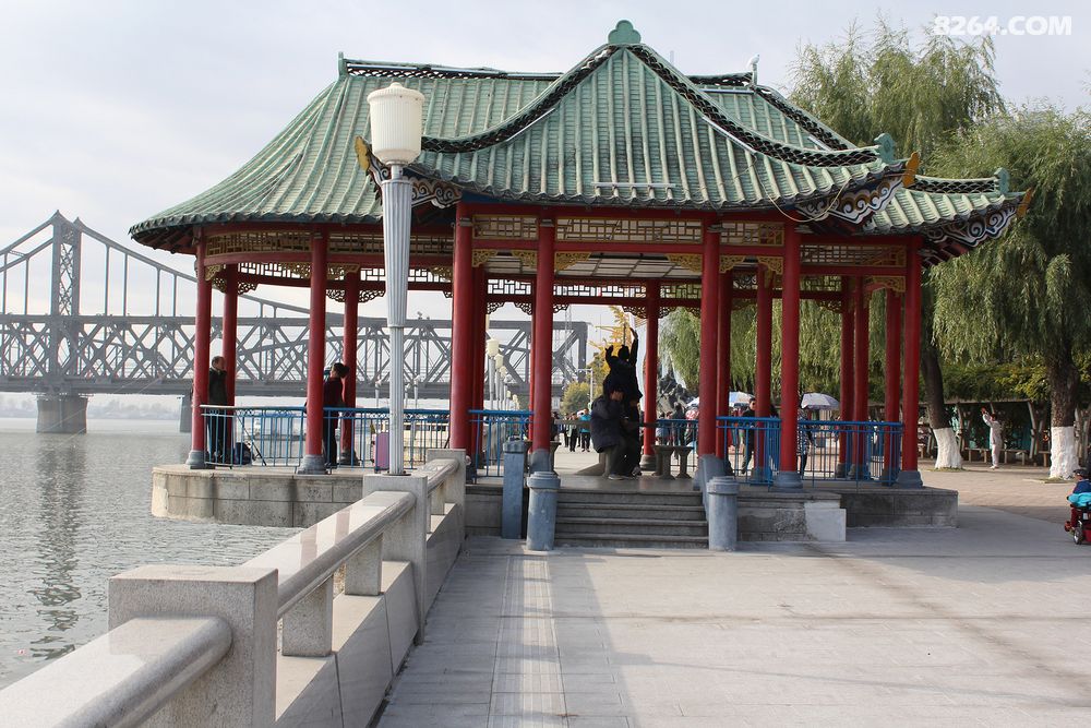 中国最美10.30中国四大-银杏景观大道-丹东金