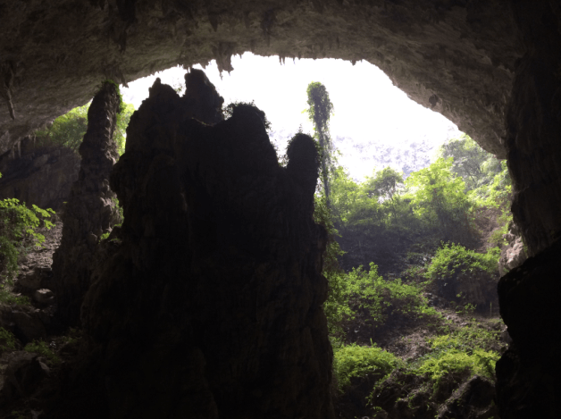 凤山溶洞游玩攻略,凤山溶洞游玩攻略一日游