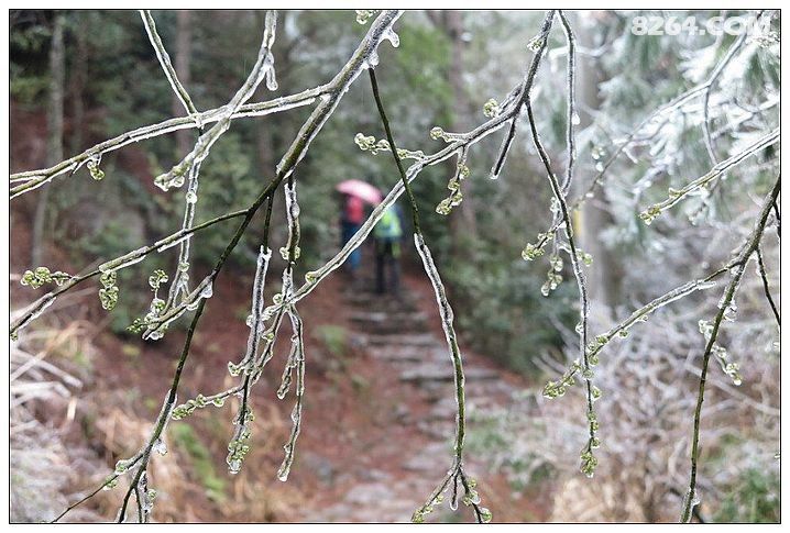 20170225柘荣东狮山可遇不可求的精彩冰凌世