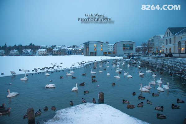 072729lrh6n4yt070oqr85.jpeg!t3w825h0