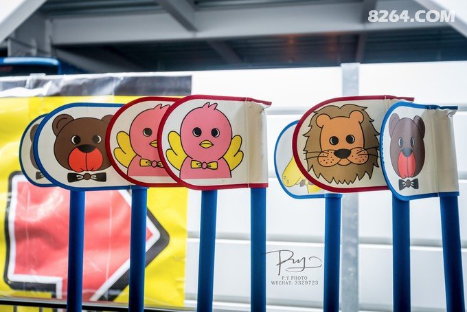 PY小露宝の京都寻找秋日童梦