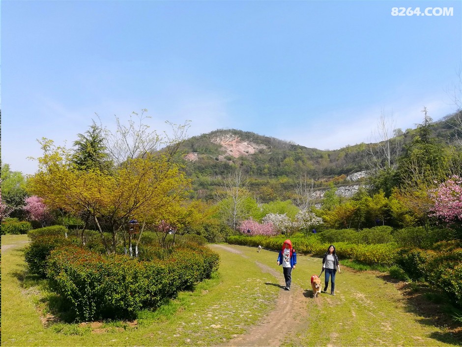 04.02.南京幕府山踏春赏花
