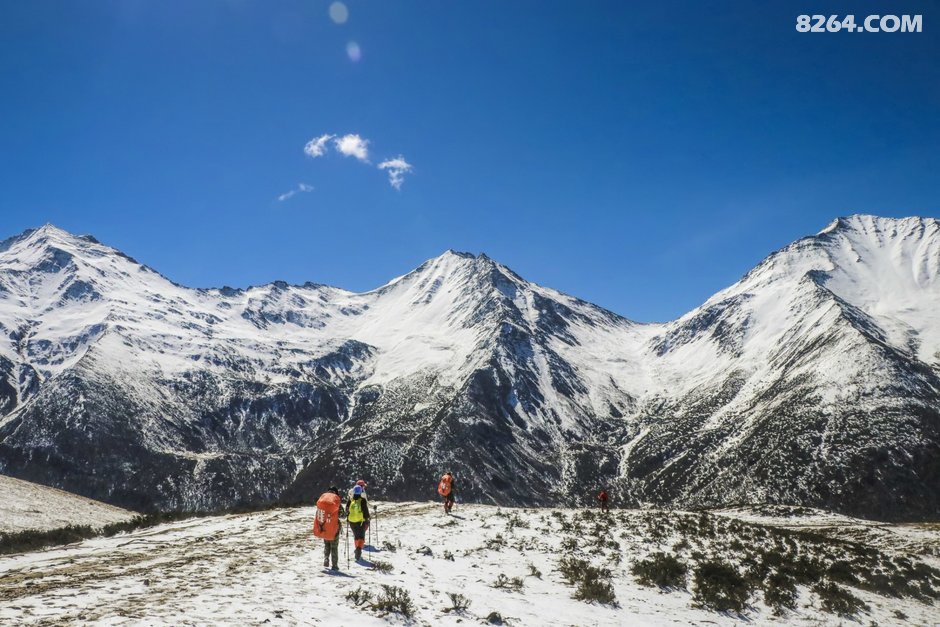 这次要取一个文艺的标题,就叫《大峰挖折耳根